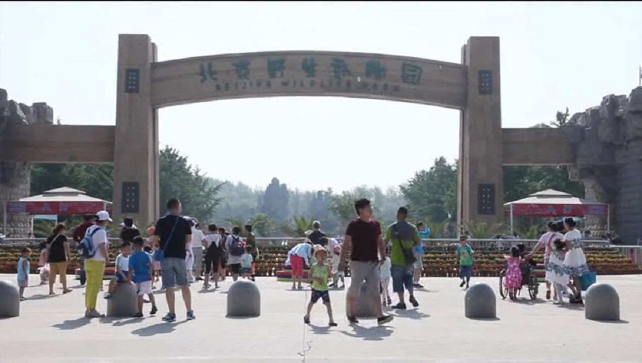 J9·九游集团(国际)官方网站-真人游戏第一品牌